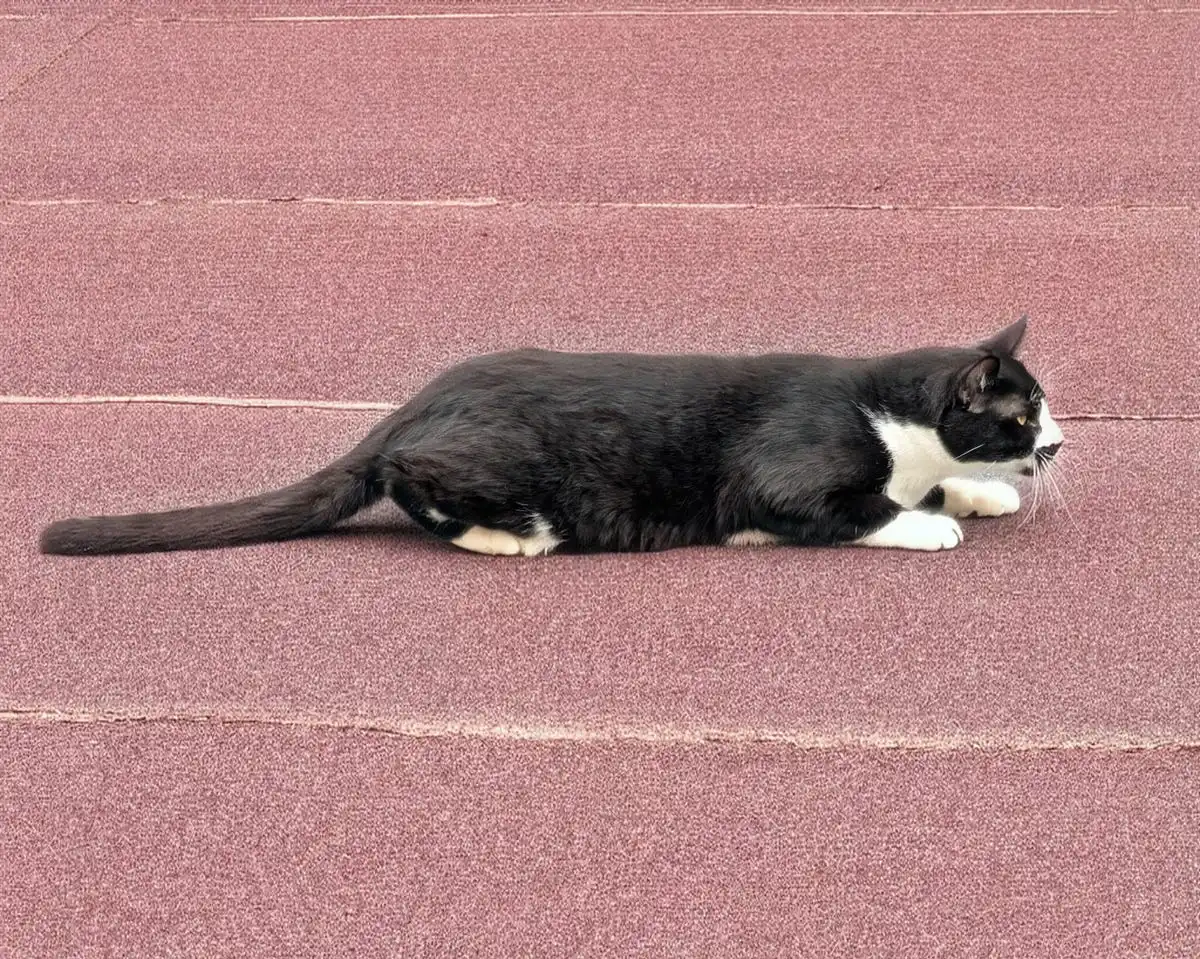 sesle-fotograf-duzenleme-donemi-basliyor-1-IsM83a5Y Sesle fotoğraf düzenleme dönemi başlıyor!