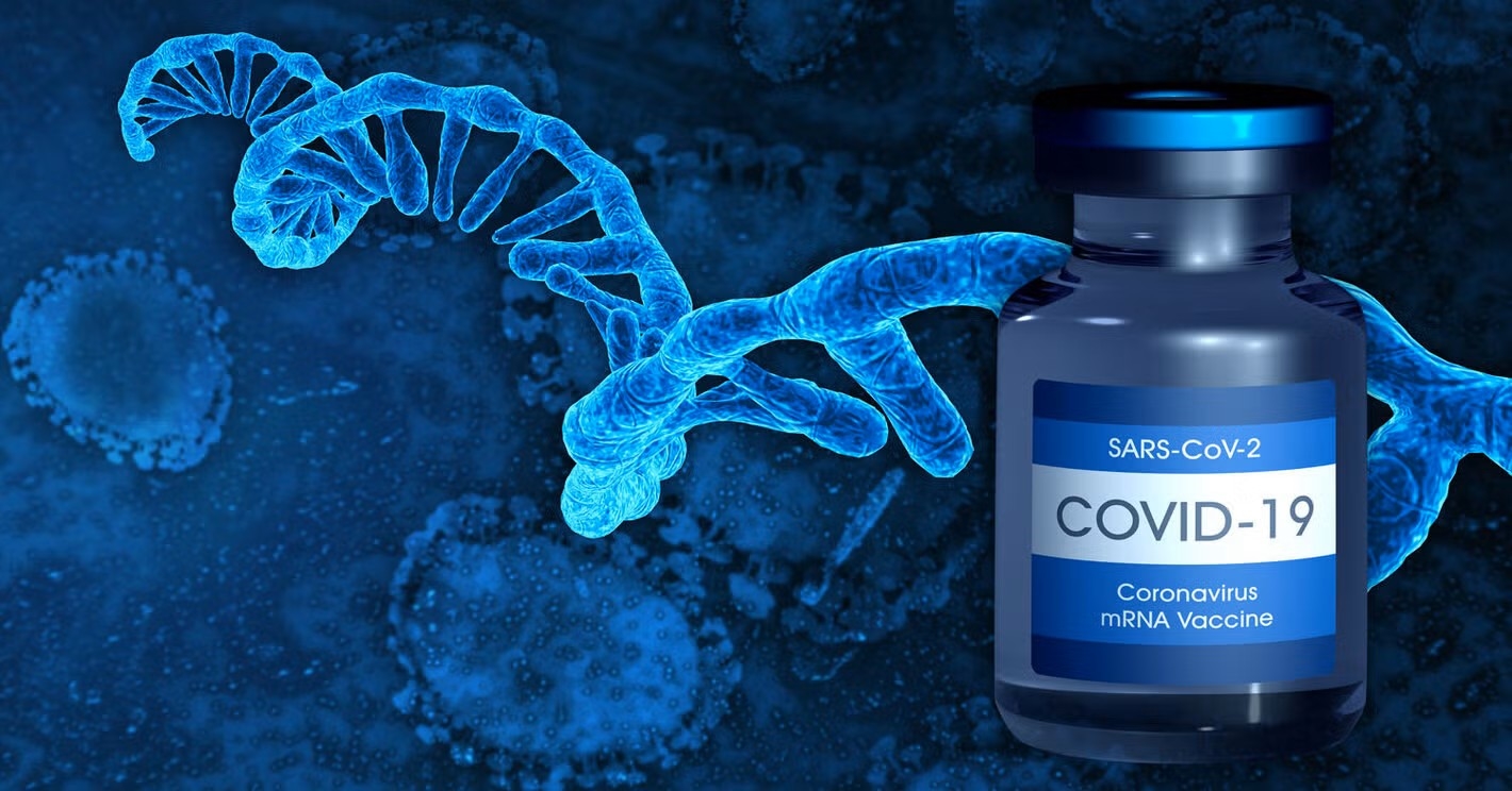 mit-mevcut-dozun-1ini-gerektiren-mrna-teknoloji-gelistirdi-0-G3NXzZLF MIT, mevcut dozun %1'ini gerektiren mRNA teknoloji geliştirdi