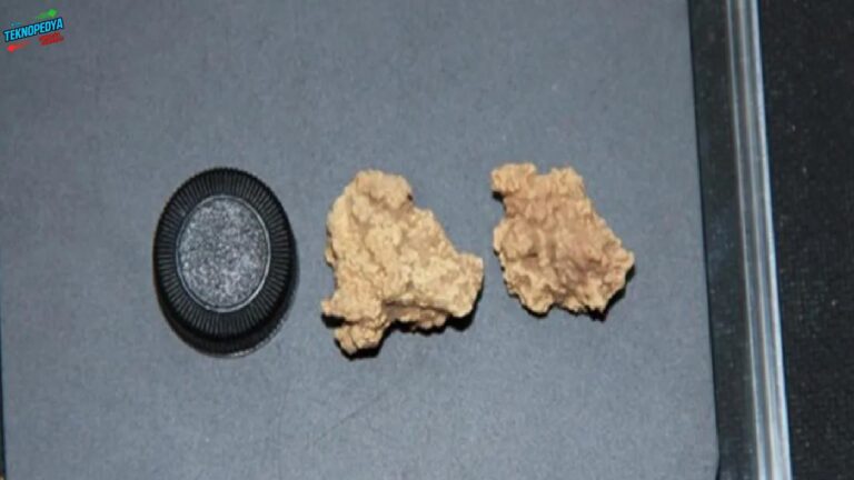 Antik mezarda bulunan dünyanın en eski peynirinin sırrı çözüldü