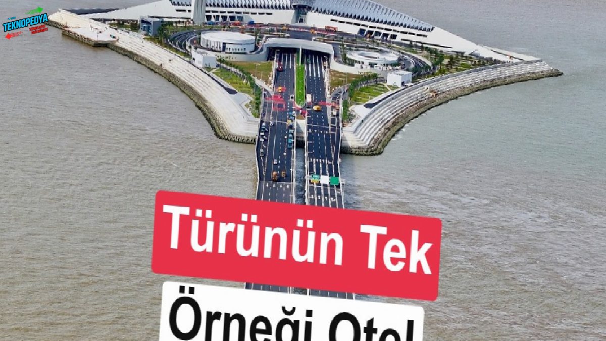 Büsbütün robotlarla işletilen dünyanın birinci oteli açılıyor