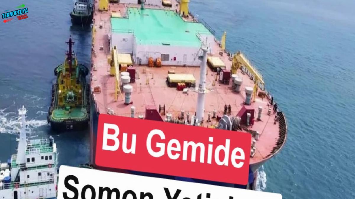 Dünyada bir birinci: Büsbütün gemide yetiştirilen somonlar satışa çıktı