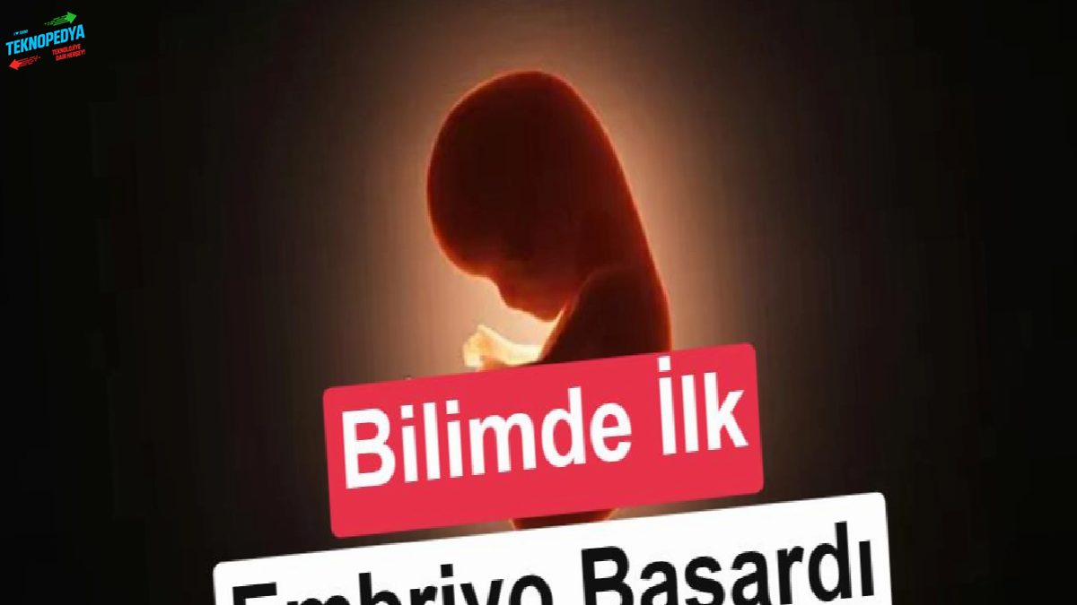 Dünyada birinci: Laboratuvarda üretilen insan embriyosu kendi organlarını oluşturdu