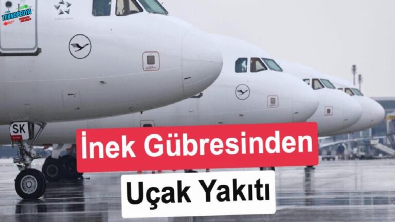İnek gübresi jet yakıtına dönüşüyor!