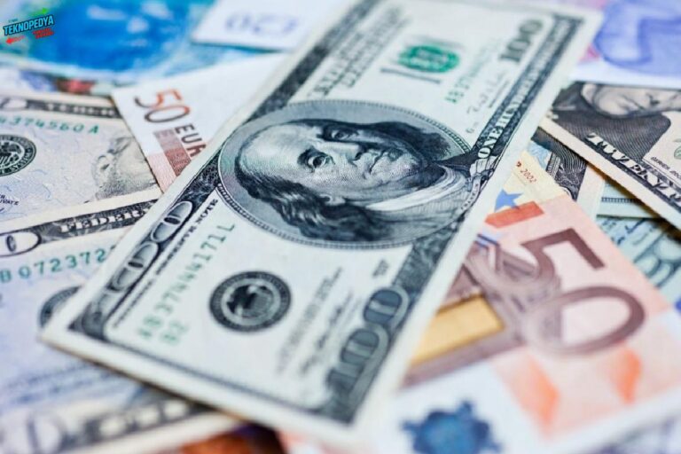 Reel efektif döviz kuru endeksi mayıs ayında 0,44 puan azalarak 105,55 oldu