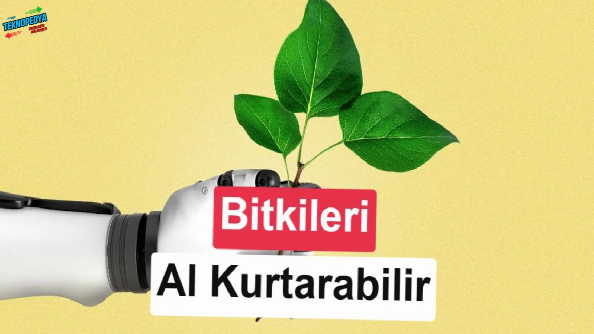 Yapay zekâ, kritik bitki ve mantar çeşitlerinin yok olmasına mani olabilir
