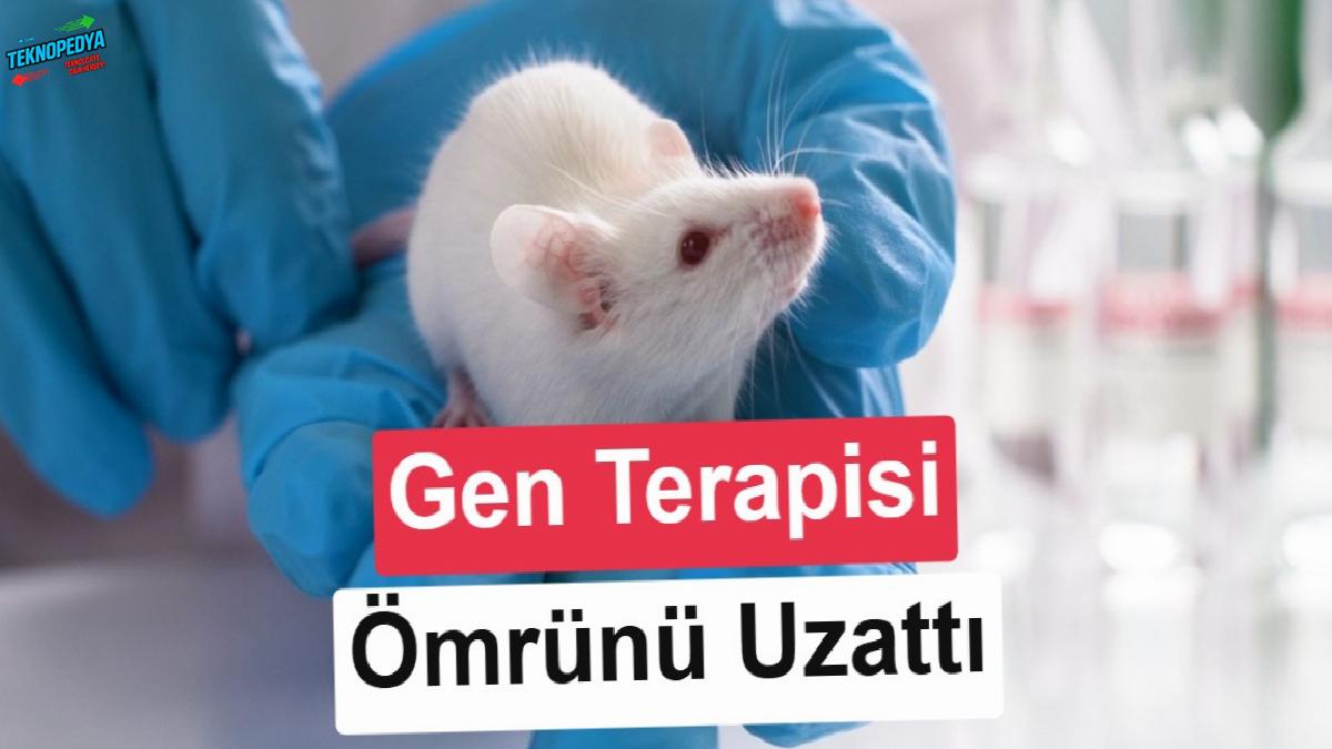 Yeni gen terapisi ömür mühletini yüzde 20 uzatıyor: Farelerde işe yaradığı kanıtlandı