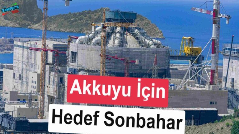 Akkuyu NGS’nin devreye girmesine aylar kaldı: Pekala sebep gecikti?