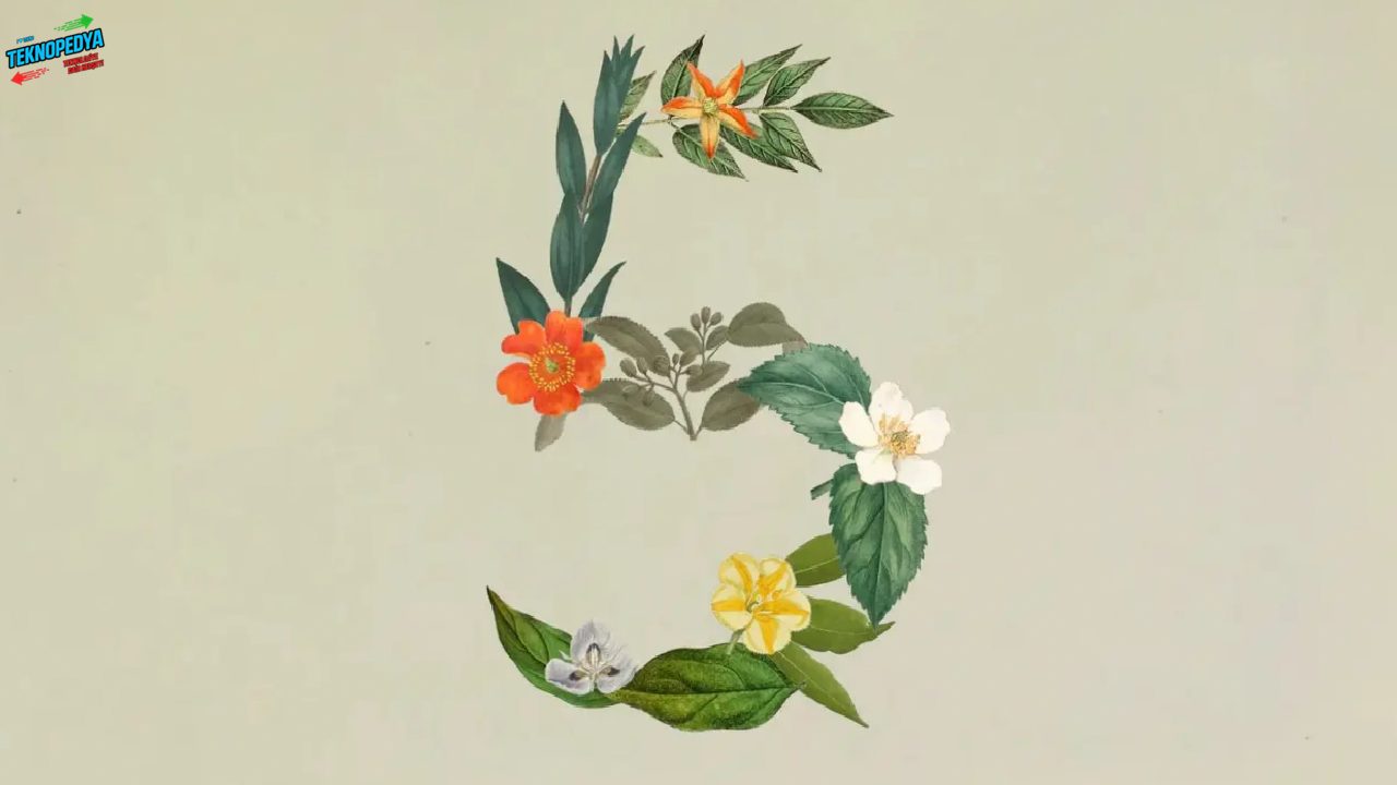 Anthropic Claude Sonnet 5 Tanıtıldı – AI Düzey Atladı