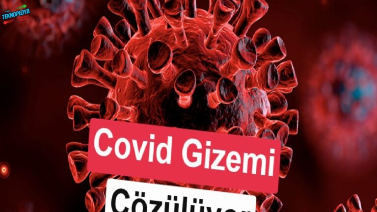 Covid-19 sebep birtakım insanlarda çok daha ağır geçti? Bilim dünyası karşılığı bulmuş olabilir