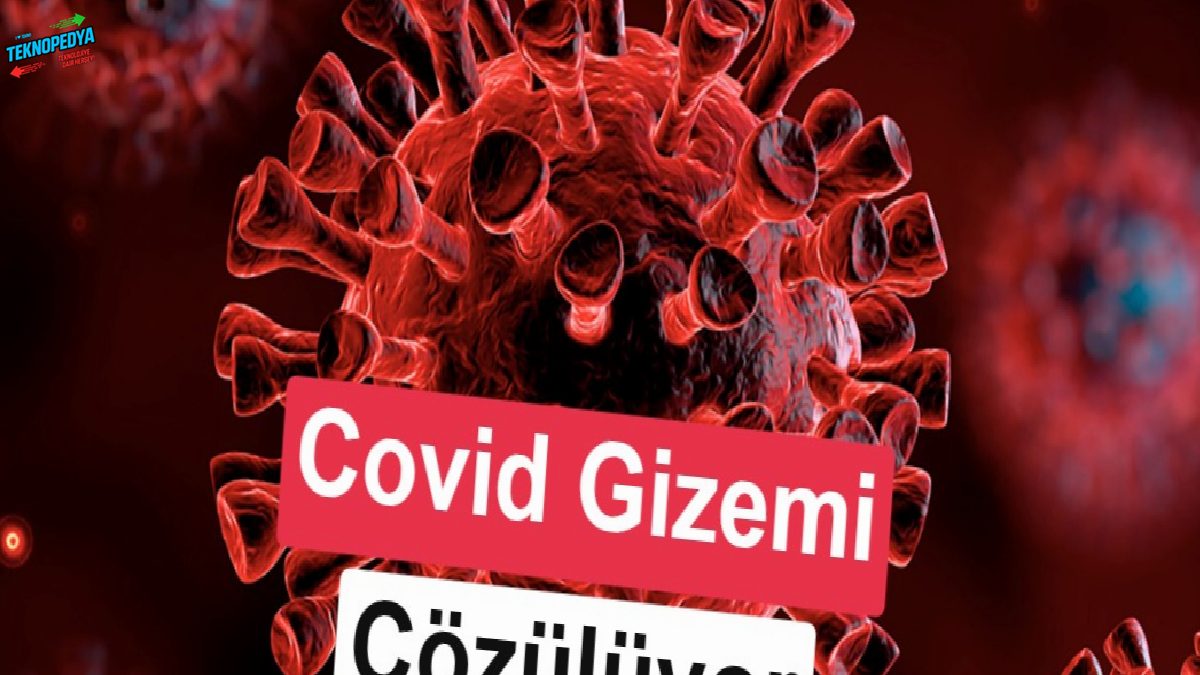 Covid-19 sebep birtakım insanlarda çok daha ağır geçti? Bilim dünyası karşılığı bulmuş olabilir