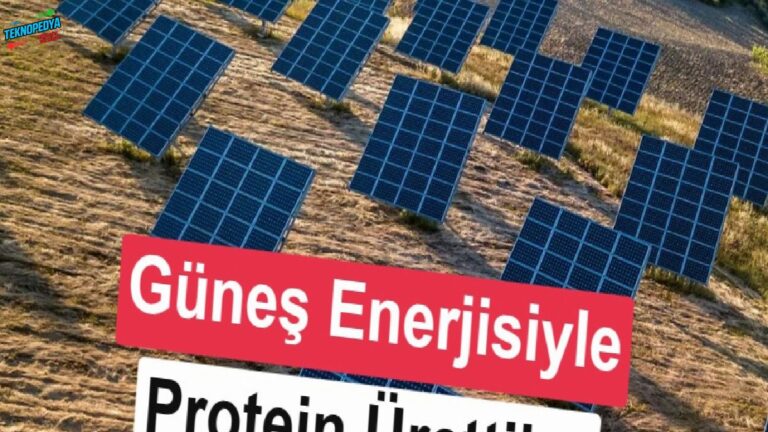 Geleceğin protein fabrikası: Güneş gücüyle CO2’den amino asit üretildi