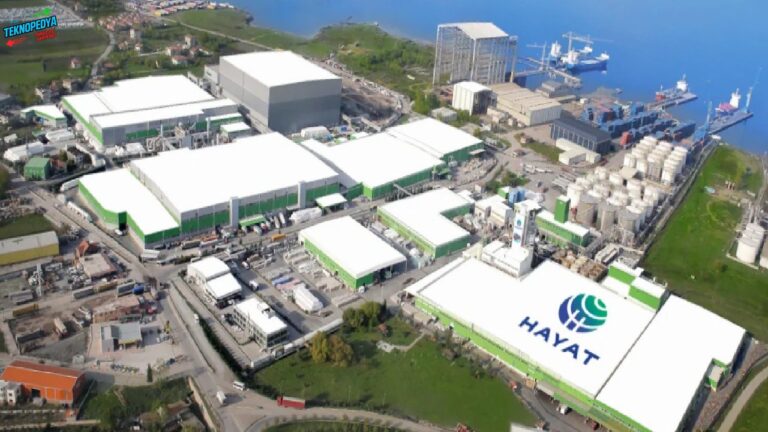 Hayat Kimya, 65 Milyon Dolarlık Güç Bütçesini Kendi Geliştirdiği Yapay Zekâyla Yönetiyor