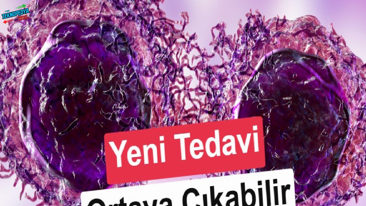 Hücreler bu formda mevti engelliyor: Kansere deva olabilir