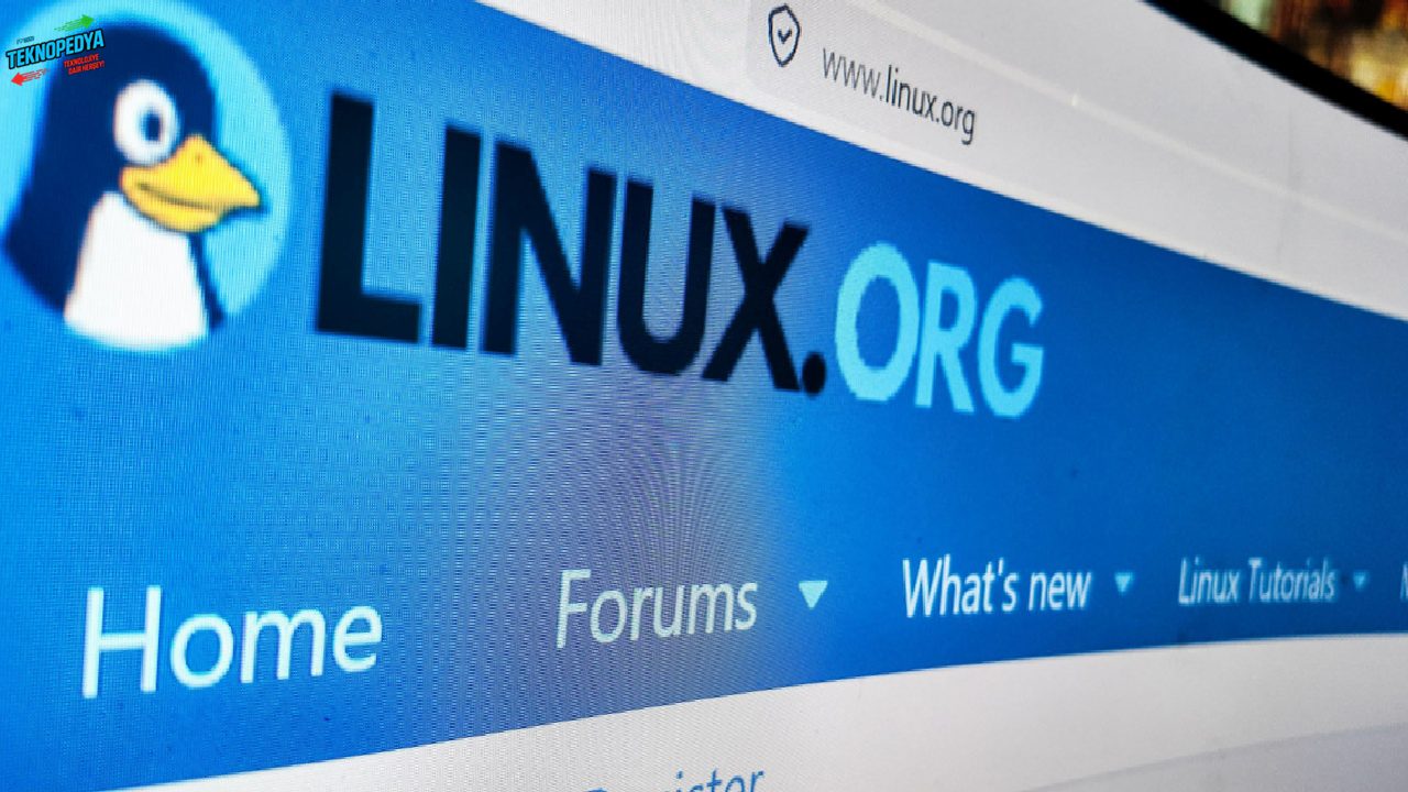 Linus Torvalds’tan yapay zeka karşılarına kapıyı gösteren sert açıklama