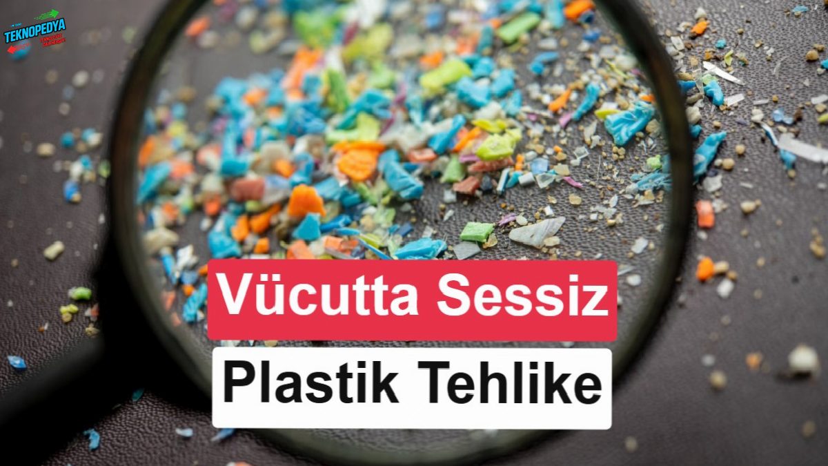 Mikroplastiklerin bedendeki rotası birinci sefer ortaya çıktı