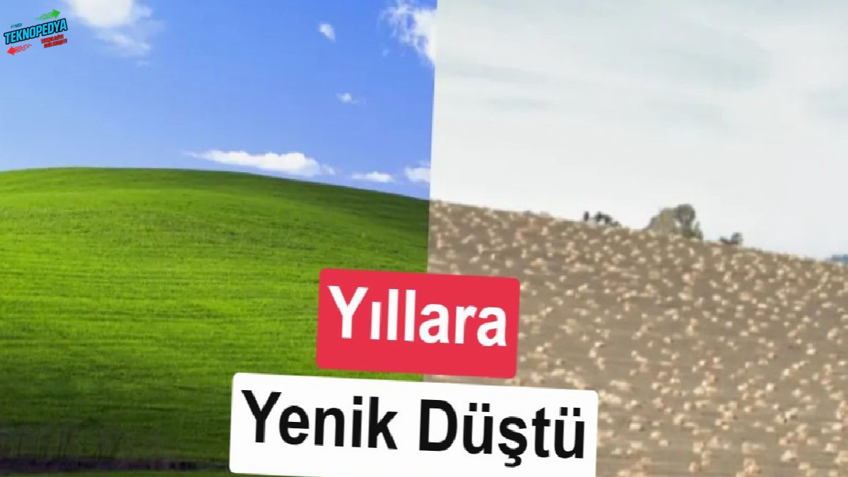 Milyonların ekranını süsleyen o görünüm artık yok: Windows XP’nin “Bliss”i yıllara yenik düştü