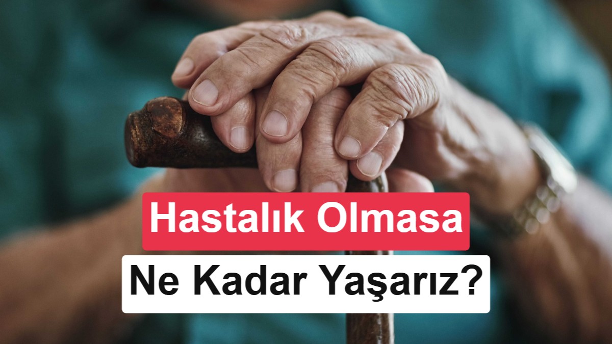 İnsan Ömrünün Teorik Sınırları: Yaşlanmanın Biyolojik Kaynağı
