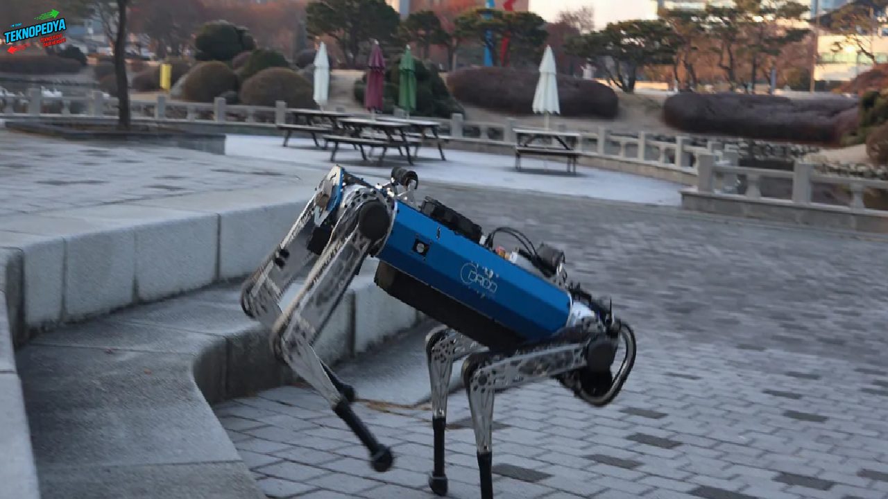 Robotların orman macerası: HOUND iş başında