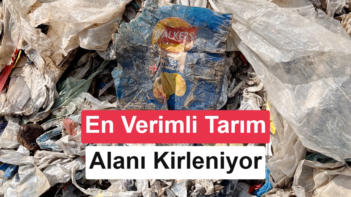 Avrupa’nın Plastik Atığı, Türkiye’nin En Verimli Toprağını Kirletiyor