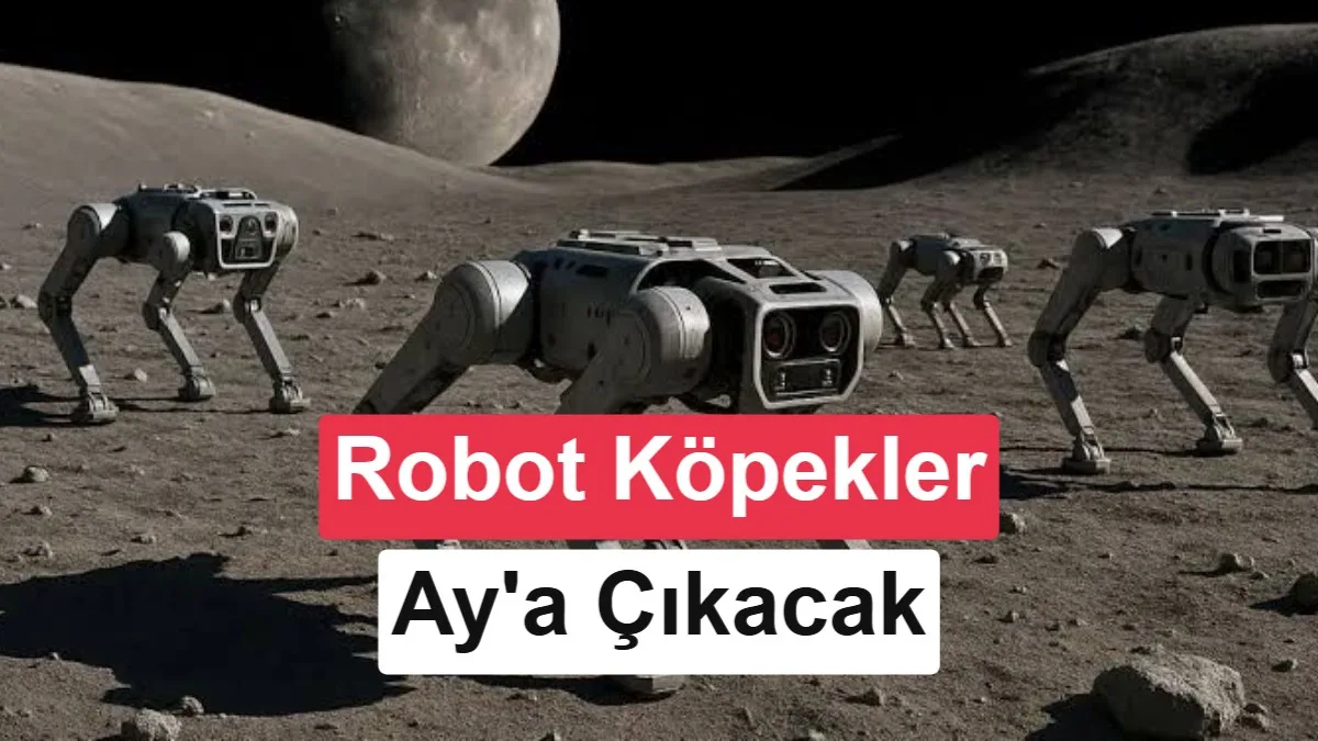 Ay’daki Araştırma İstasyonlarında Robot Köpekler Hedefleniyor