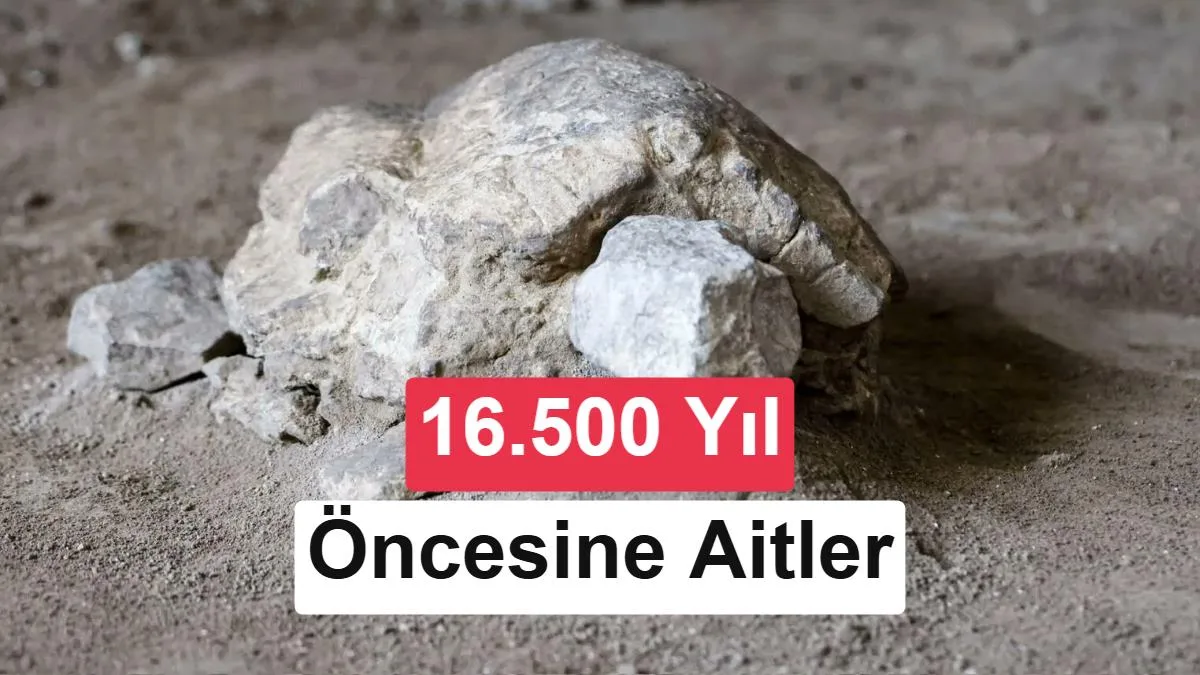 Bilecik’te MÖ 14.500-11.200 Yılları Arasına Ait Kaplumbağa Heykelcikleri Keşfedildi