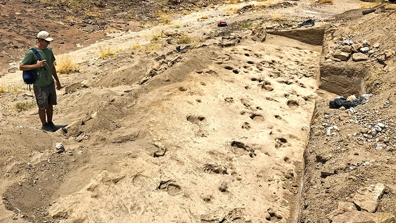 Doğu Afrika’da Bir Göl Kıyısında Bulunan Ayak İzleri, İnsanlık Tarihi Üzerine Yeni Bir Işık Taşıyor