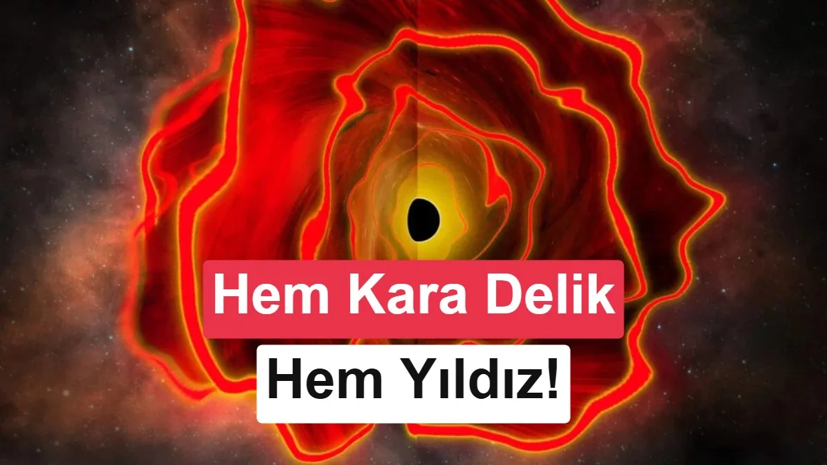 Gökbilimciler ‘Kara Delik Yıldızı’ olarak Tanımladıkları Yeni Kozmik Nesneyi Keşfetti