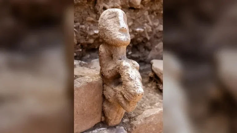 Karahan Tepe’de 11 Bin Yıllık Heykel: Leoparın Sırtında İnsan Figürü