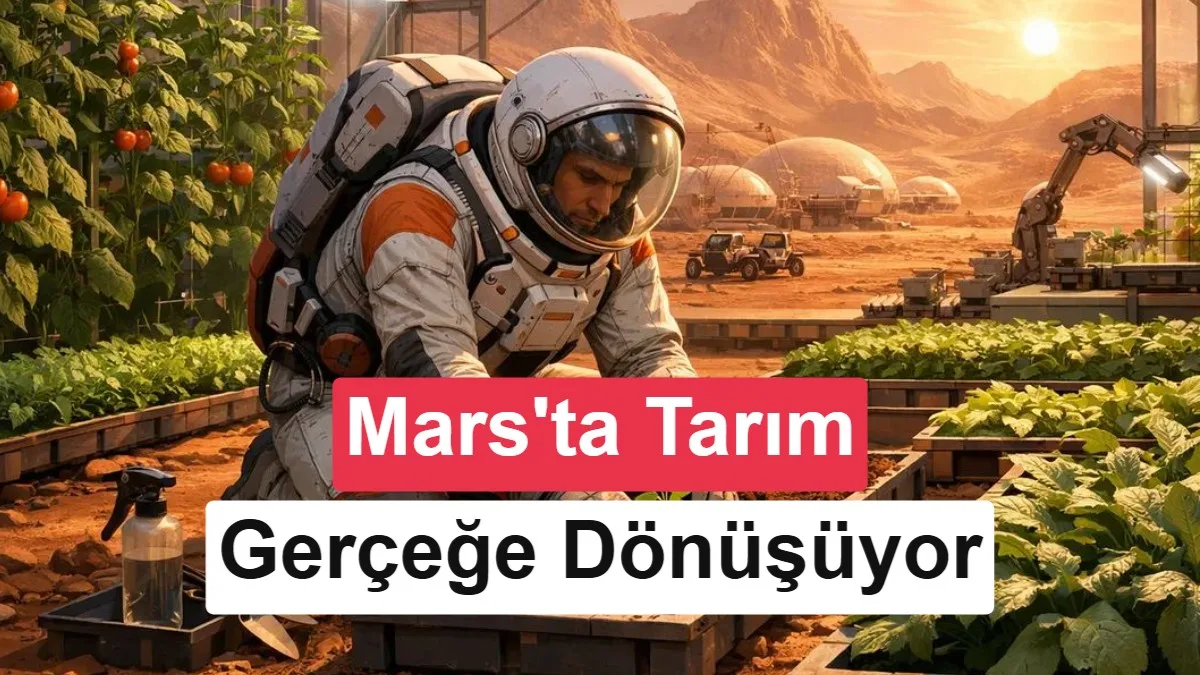 Mantarlar Mars Toprağını Geleceğin Tarım Alanına Dönüştürebilir