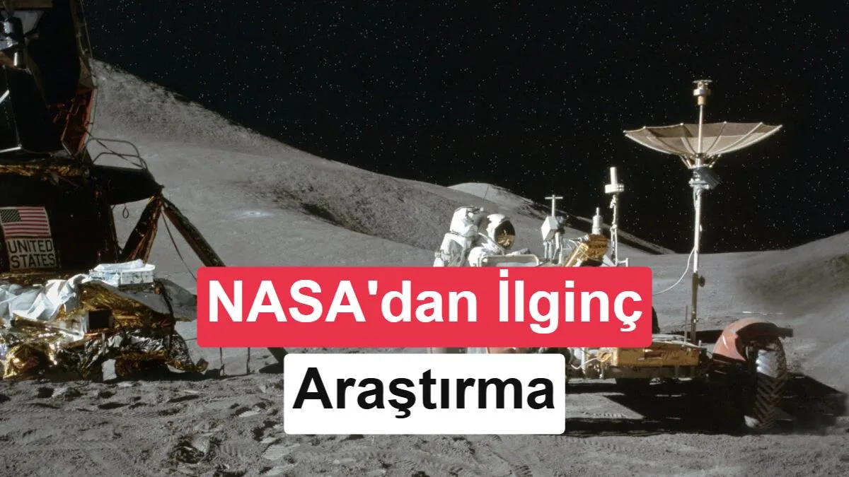 NASA: Ay’da mikroorganizmaların hayatta kalması beklenenden daha kolay