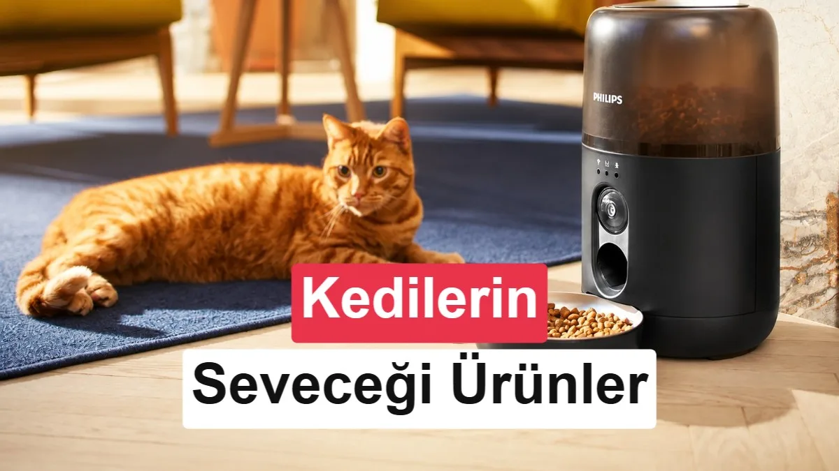 Philips’in Evcil Hayvanlar İçin Yenilikçi Çözümleri