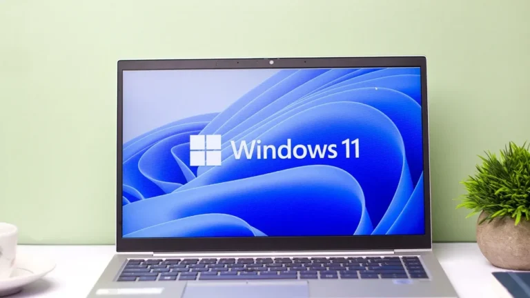 Windows 11, Ekran Kartı Sürücülerini Neden Siliyor?