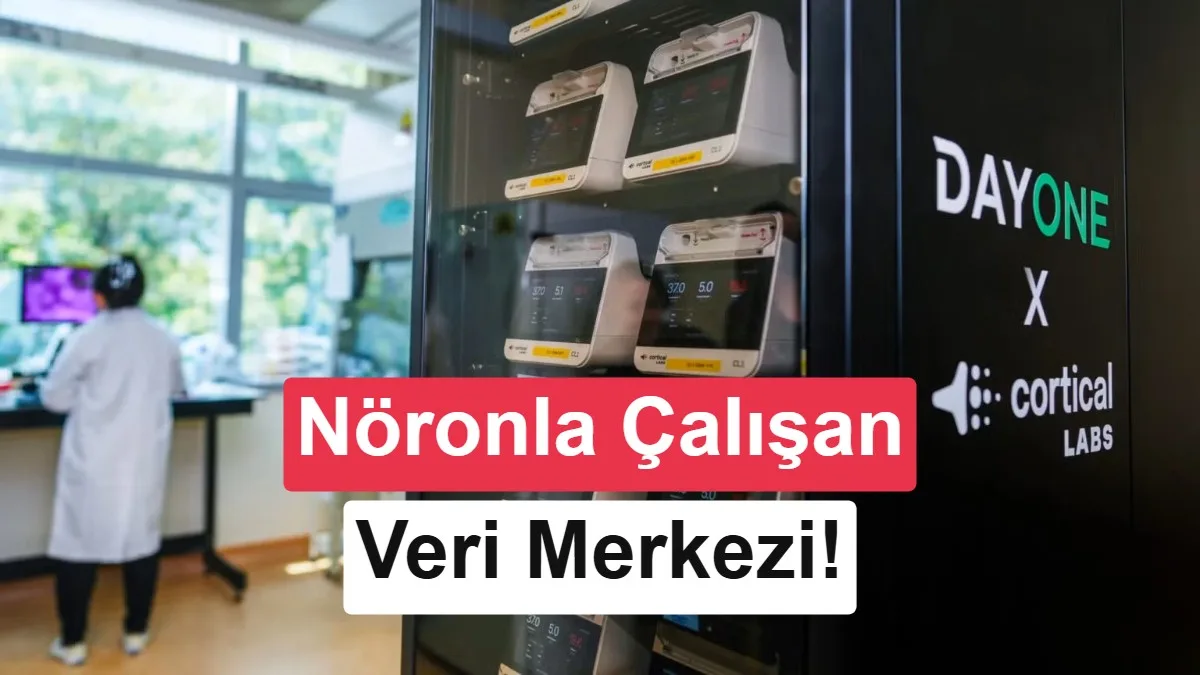 Yeni Bir Dönem: İnsan Beyin Hücreleriyle Çalışan Veri Merkezi Operasyon Başlattı