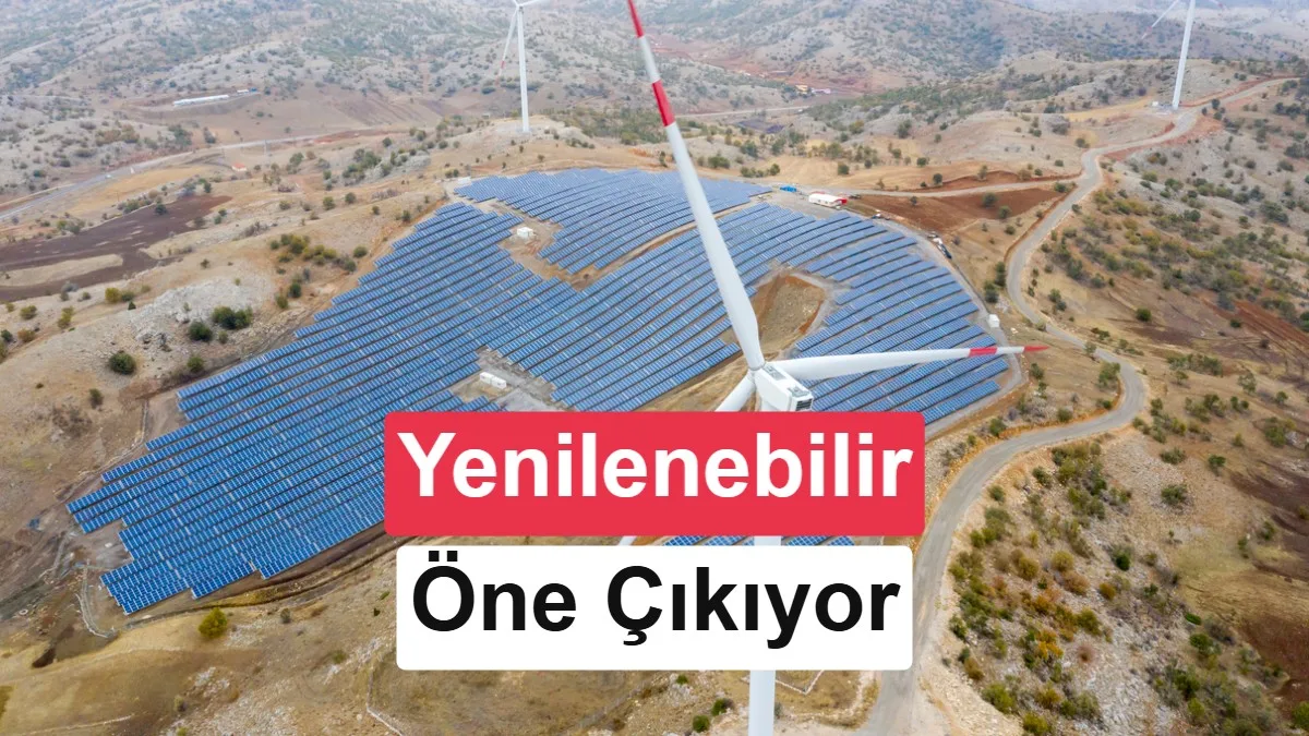 Yenilenebilir Enerji, Elektrik Kapasitesindeki Artışın %88,1’ini Sağladı
