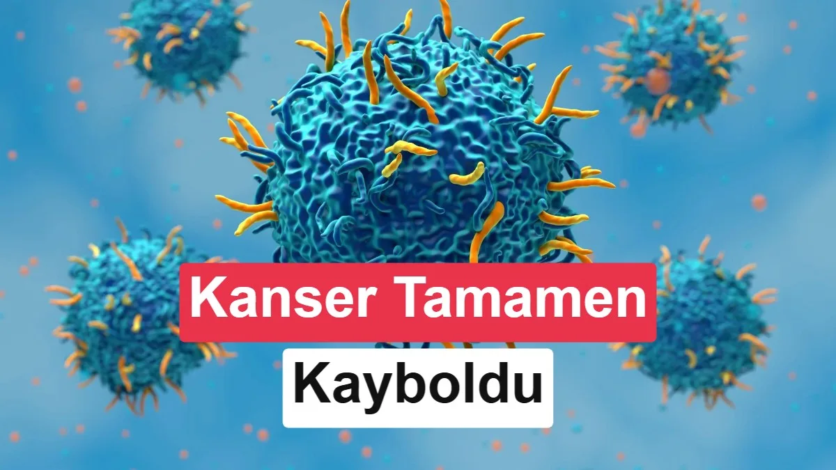 3 yaşındaki çocuğun karaciğer kanseri deneysel tedavi ile tamamen yok oldu