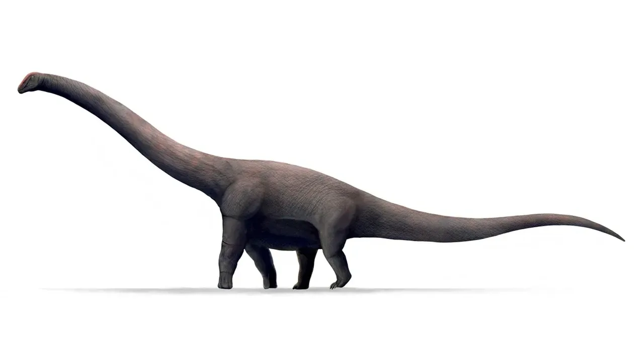 45 Metrelik Dev Dinozor: Kaybolan Fosillerin Gizemi