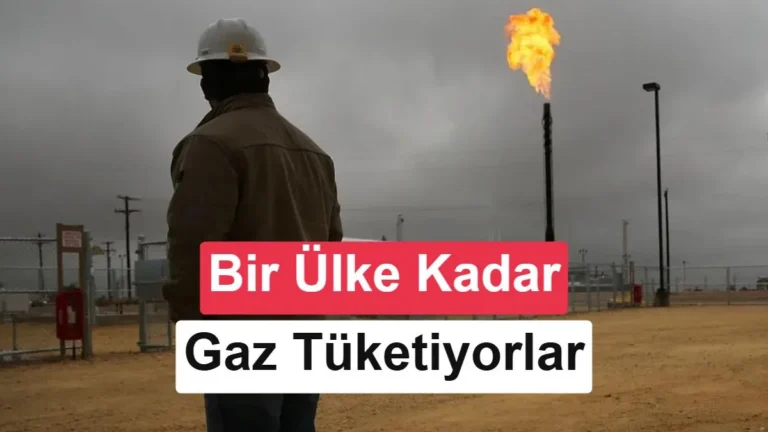 ABD Veri Merkezleri 2035’te Almanya ve Japonya’nın Toplamından Daha Fazla Doğalgaz Tüketmeye Hazır