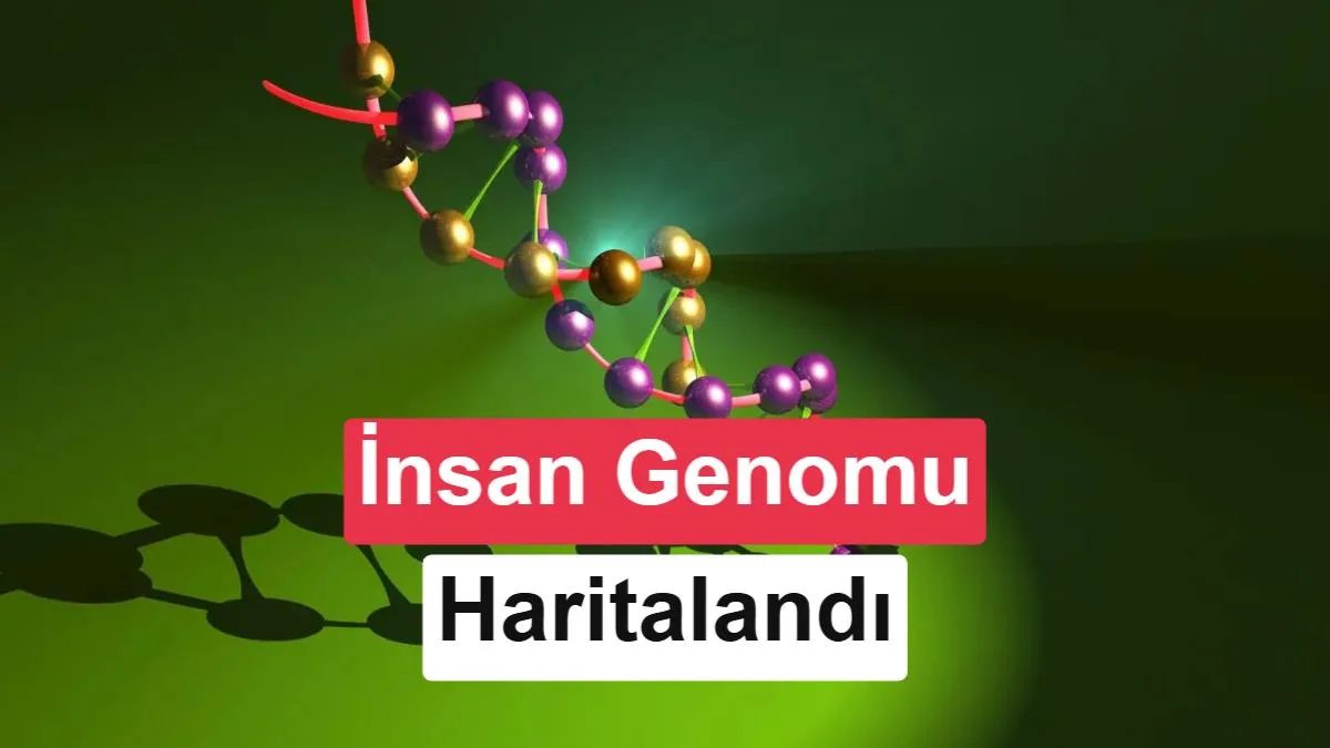 DeepMind, Yapay Zekâ ile İnsan Genomundaki 9 Milyar Mutasyonu Haritaladı
