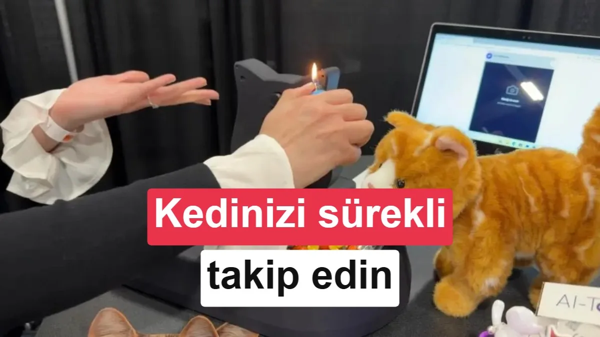 Hayvanınızın sağlığını gözlemleyen mama kabı