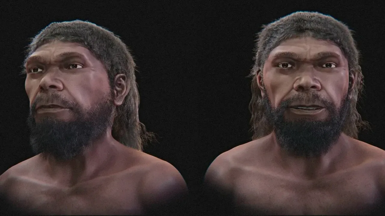 İlk Homo sapiens’in Yüzü Nasıl Şekillendi?
