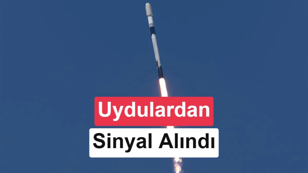 SpaceX, Google’ın TPU Çiplerini Uzaya Gönderdi